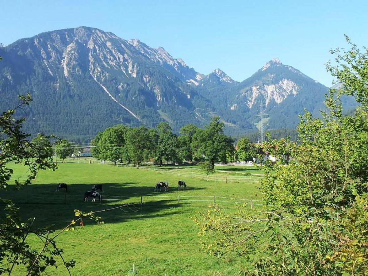 Gutshof Zum Schluxen Apartamento Pinswang Exterior foto