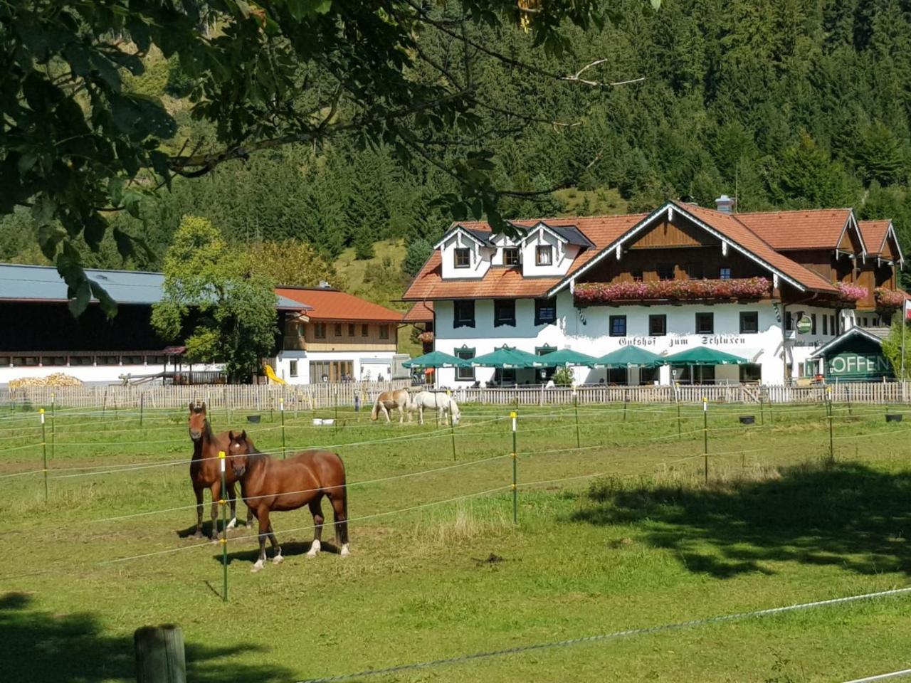Gutshof Zum Schluxen Apartamento Pinswang Exterior foto